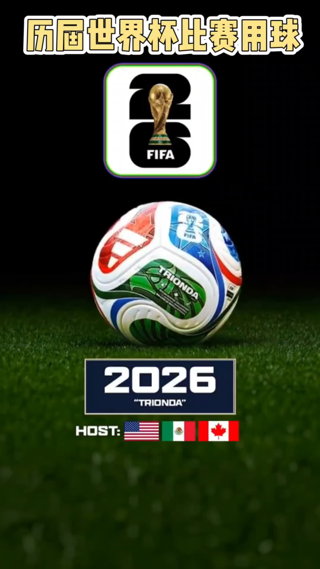 图片报：一些拜仁球星认为帕利尼亚不足以胜任拜仁的要求